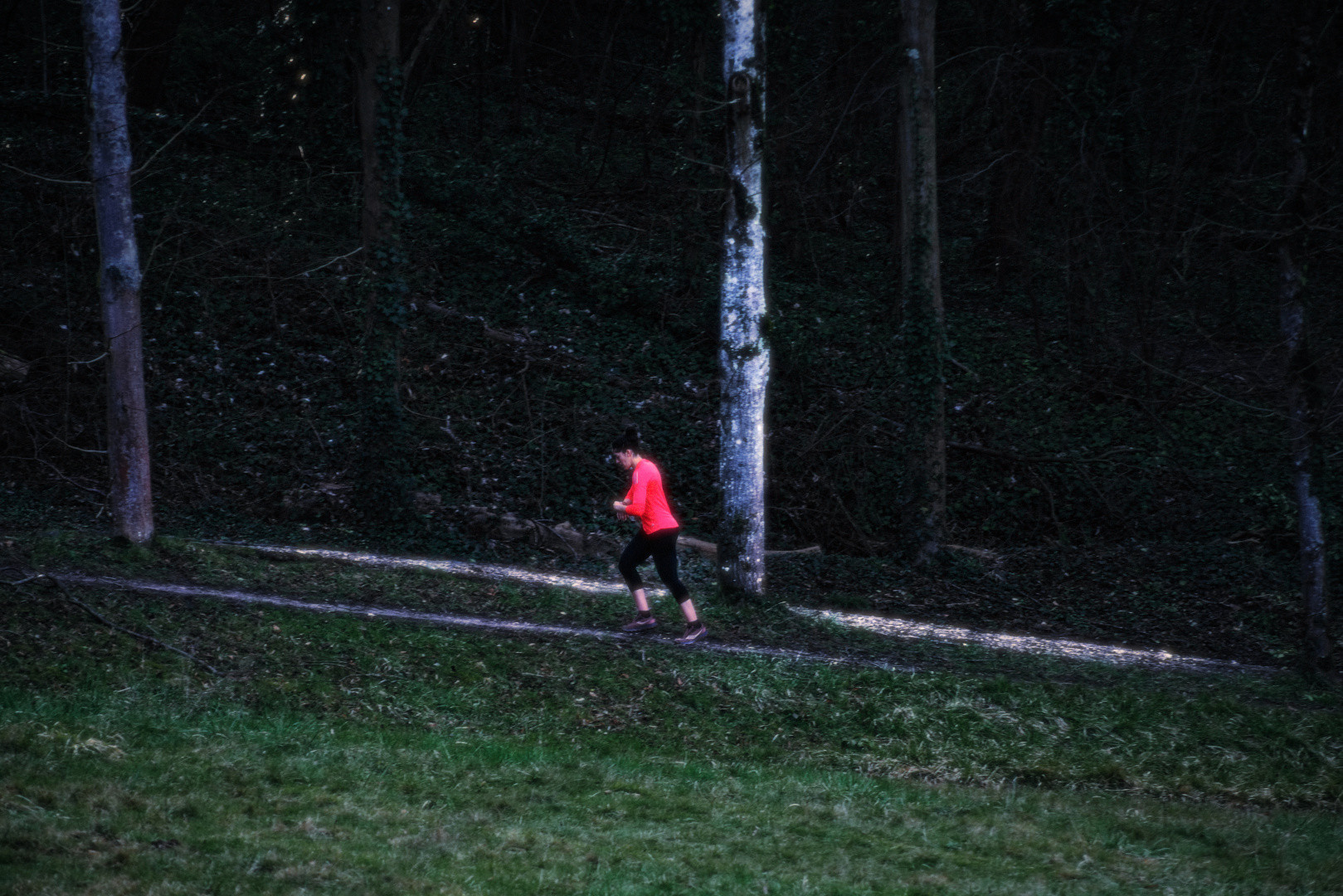 A runner in red crossing a dark wooded path