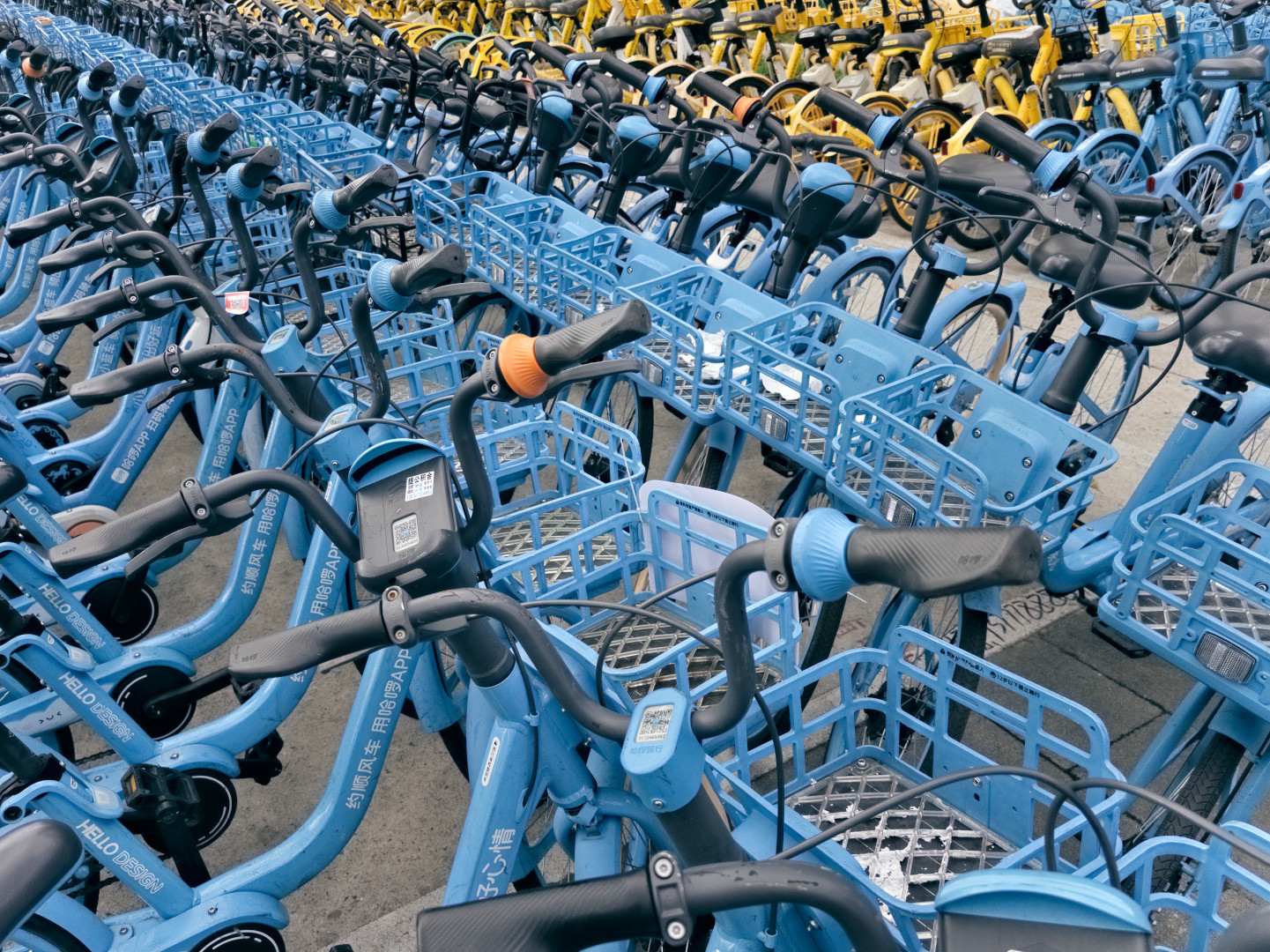 Blue and yellow bikes arranged in rows forming patterns