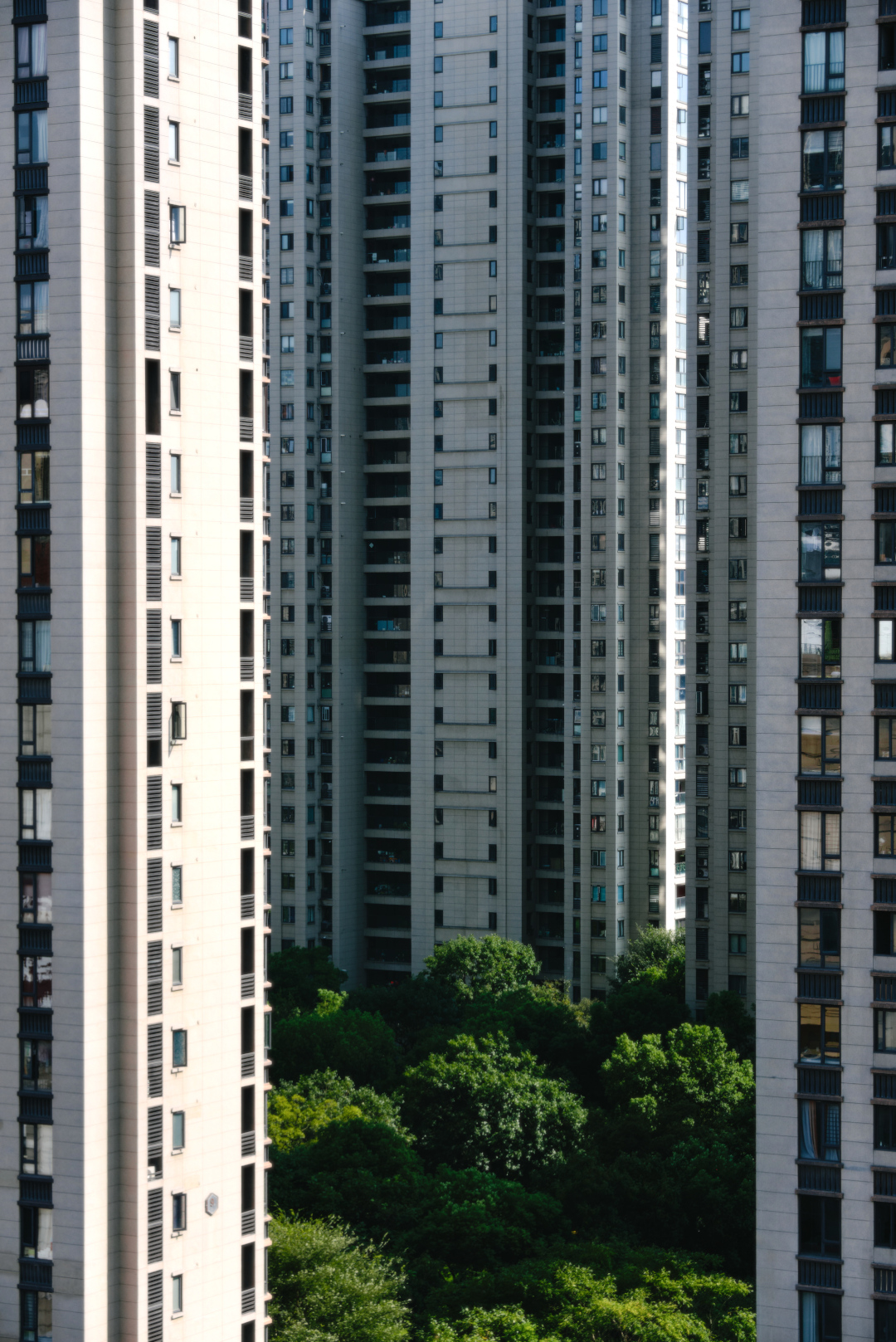 A group of tall apartment buildings around a green patch of trees